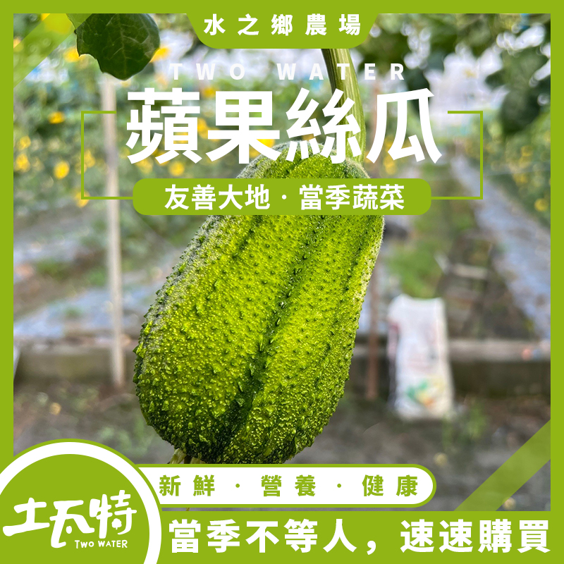 蘋果絲瓜